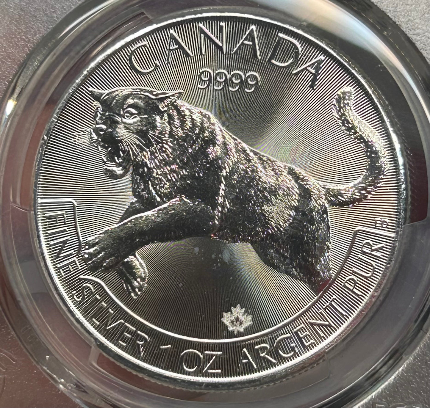2016年加拿大美洲豹一安士銀幣 PCGS MS68