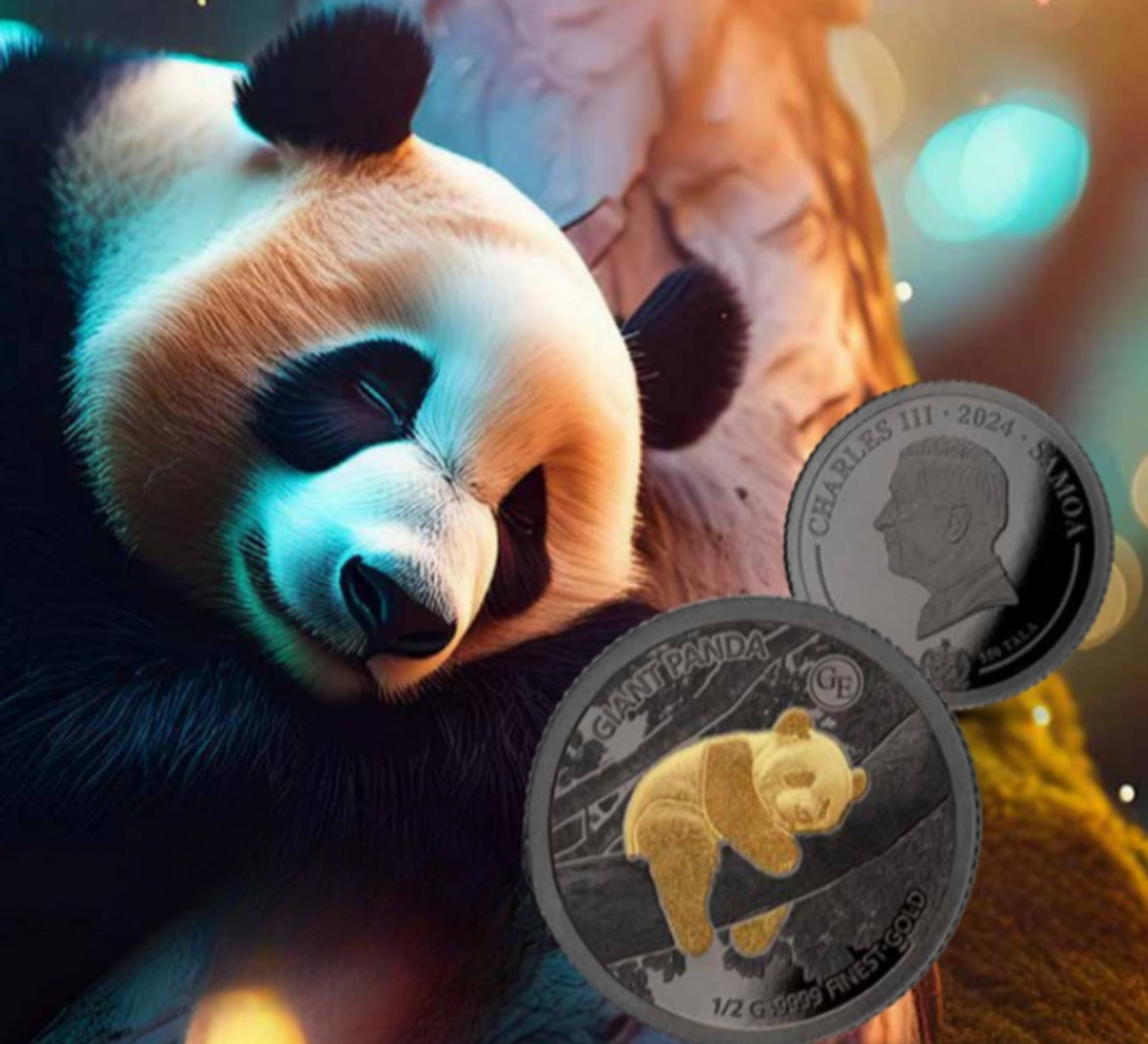 2024 薩摩亞發行 
《黃金之迷》系列1️⃣
9999 金0.5克&黑銠混合精鑄金幣