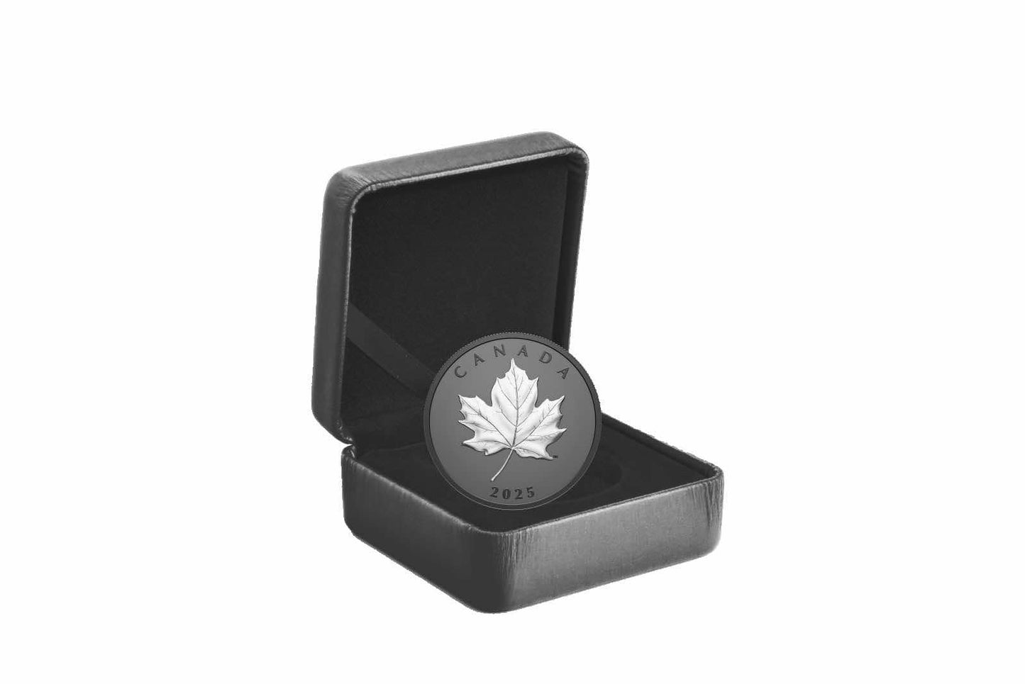 2025年加拿大《Elegant Maple》20加元黑鍍銠紀念銀幣