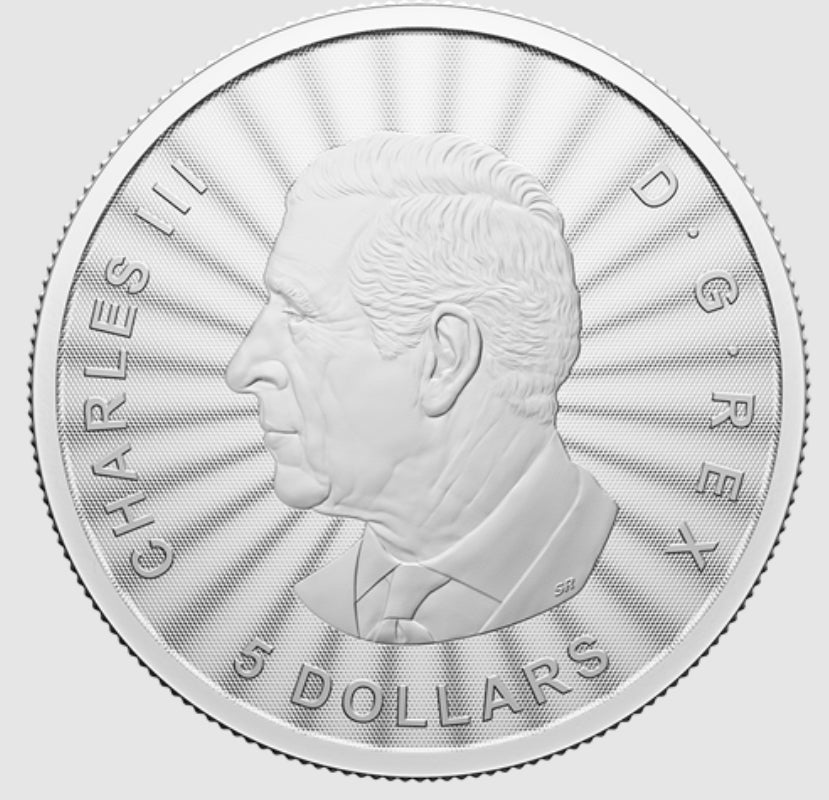 2024年加拿大發行
親親北極熊卡冊銀幣（首鑄版）